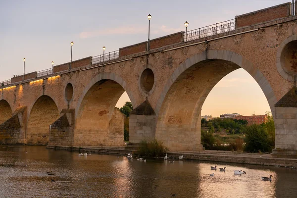 Badajoz Palmas Bridge Sunset Ducks Guadiana River Spain — Stock fotografie