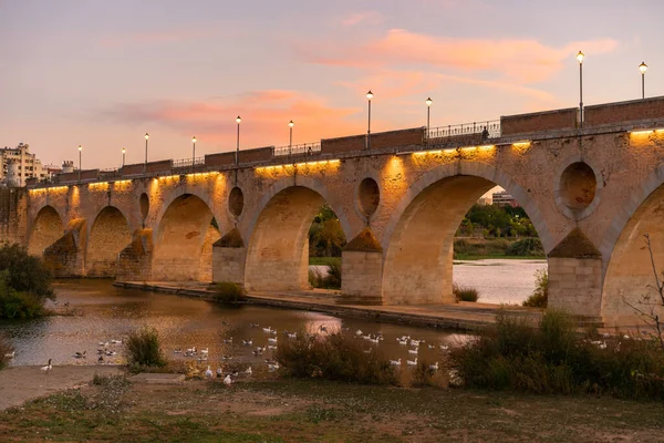 Badajoz Palmas Bridge Sunset Ducks Guadiana River Spain — Zdjęcie stockowe