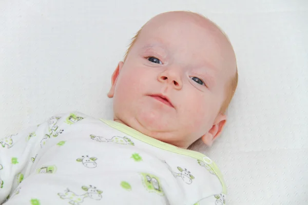 Twee maanden oude mannelijke pasgeborene genieten van — Stockfoto