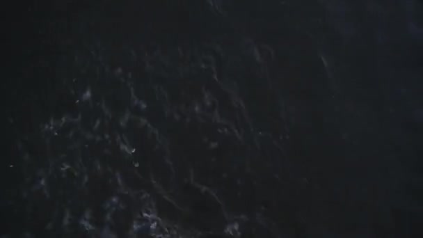 Jovem com uma bela figura entrando no mar — Vídeo de Stock