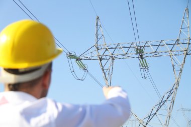 Elektrik santralinde duran erkek mühendis.