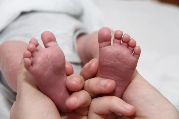 Baby's foot in mother hands, newborn baby little legs — Stock Photo, Image