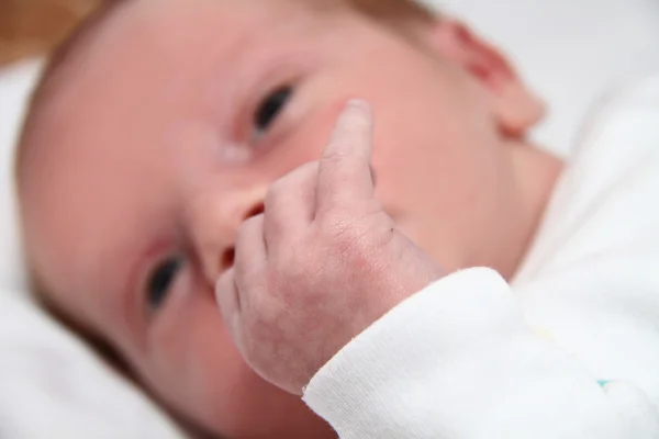 Mano del pequeño bebé macho — Foto de Stock