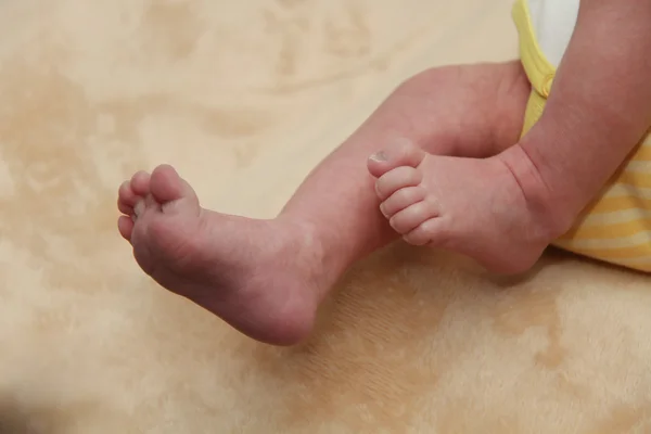 Новорожденный 20 дней детские ноги — стоковое фото