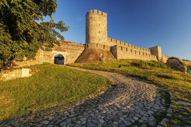Belgrad Kalesi ve park