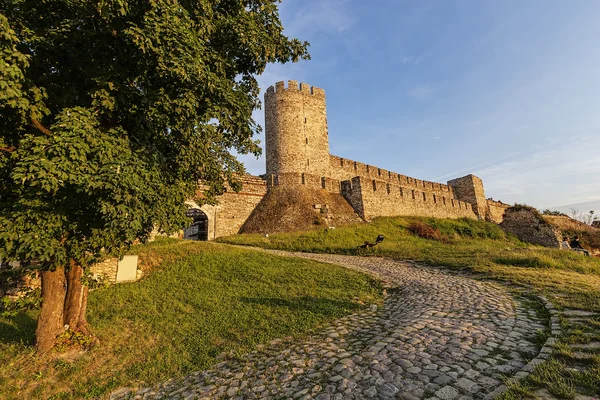 ベオグラードの要塞と公園 — ストック写真
