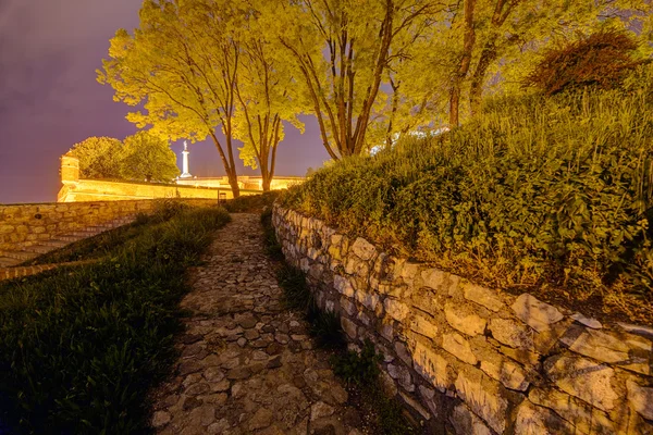 Belgrado Mura Medievali Fortezza Parco Notte Serbia — Foto Stock