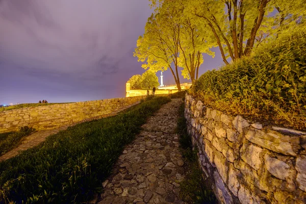 Mura Medievali Belgrado Fortezza Monumento Del Vincitore Notte Serbia — Foto Stock