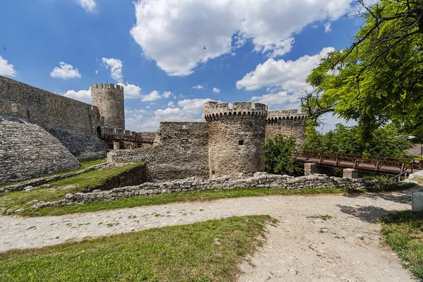 Régi erőd fala és a természet — Stock Fotó