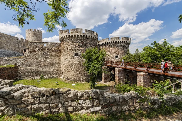 古い要塞の壁と自然 — ストック写真