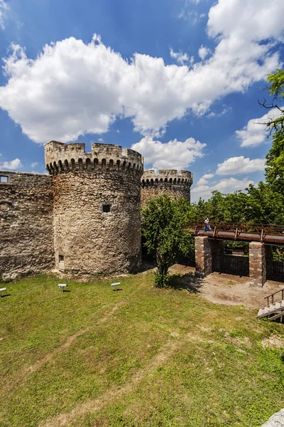 Antigua muralla de fortaleza y naturaleza — Foto de Stock