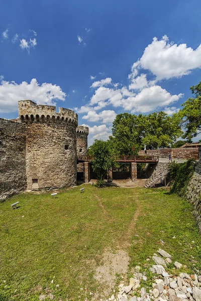 Old fortress wall and nature — Stock Photo, Image