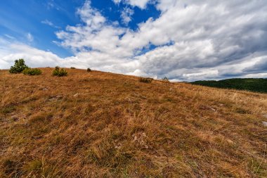 Dağın sonbahar manzara