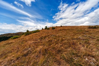Dağın sonbahar manzara
