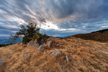 Dağın sonbahar manzara