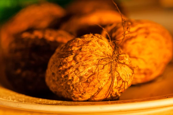 Close up brown walnuts — Stock Photo, Image