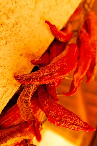 Close Traditional Autumn Dried Peppers Texture Note Shallow Depth Field — Stock Photo, Image