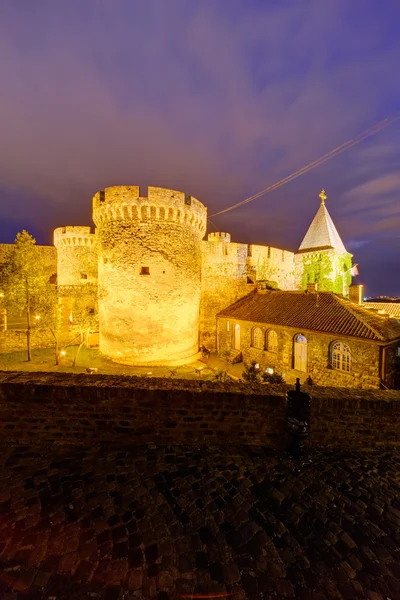 Forteresse de Belgrade et parc Kalemegdan — Photo