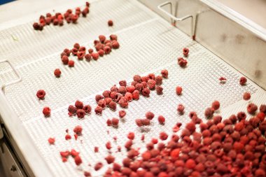 dondurulmuş ahududu iş işleme