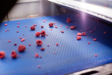 dondurulmuş ahududu iş işleme