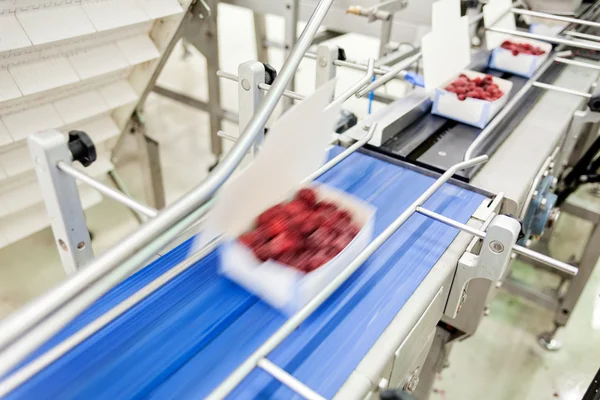 Negócios congelados de processamento de framboesa — Fotografia de Stock