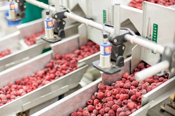 Geschäft mit tiefgefrorenen Himbeeren — Stockfoto