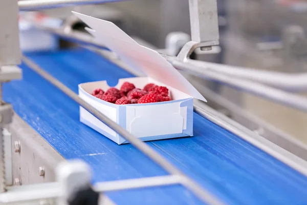 Frozen raspberry processing business — Stock Photo, Image