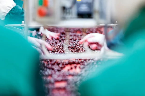 Sour cherries in processing machines — Stock Photo, Image