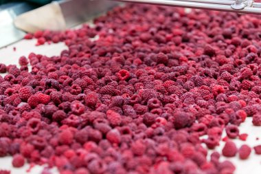 dondurulmuş ahududu iş işleme