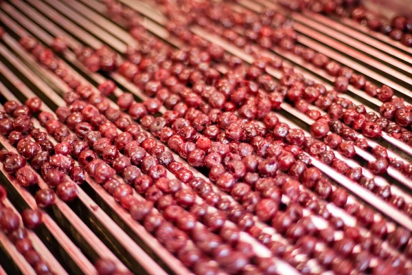 Cerejas ácidas em máquinas de processamento — Fotografia de Stock