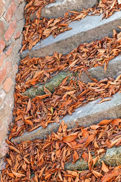 Alte Steintreppe — Stockfoto