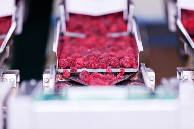 dondurulmuş ahududu iş işleme