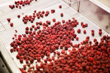 dondurulmuş ahududu iş işleme