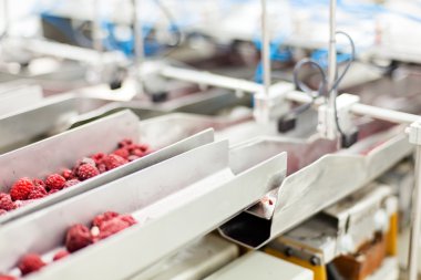 dondurulmuş ahududu iş işleme