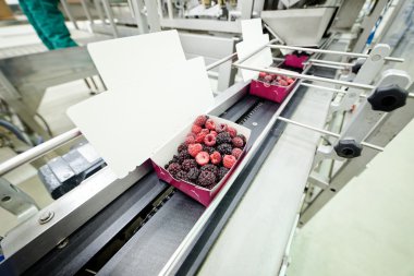 dondurulmuş ahududu iş işleme