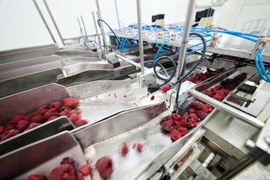 dondurulmuş ahududu iş işleme