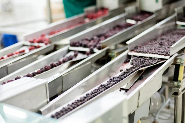 Negócios congelados de processamento de framboesa — Fotografia de Stock