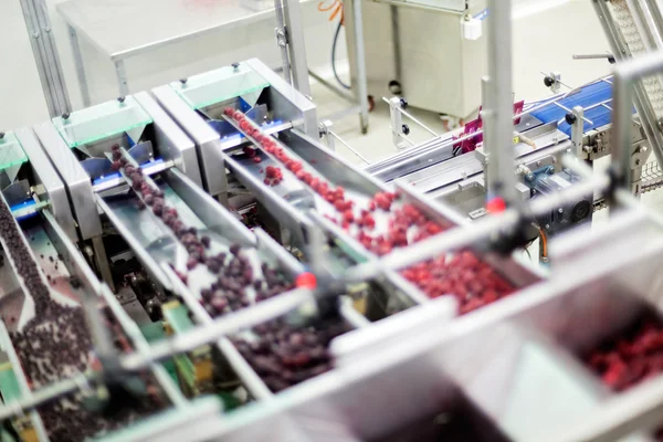 Negócios congelados de processamento de framboesa — Fotografia de Stock