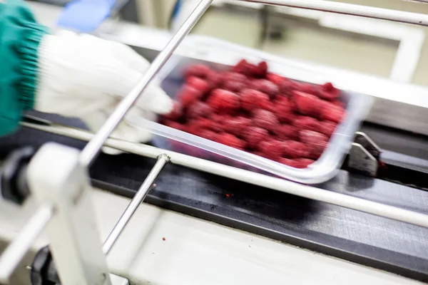 Negócios congelados de processamento de framboesa — Fotografia de Stock