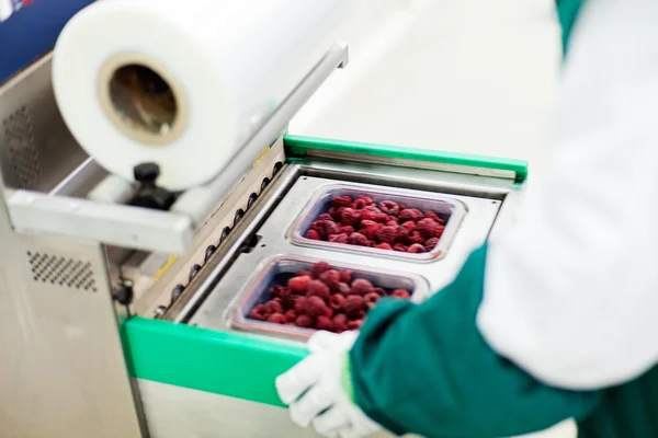 Negócios congelados de processamento de framboesa — Fotografia de Stock