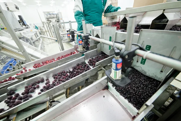 Embalagem de alimentos — Fotografia de Stock