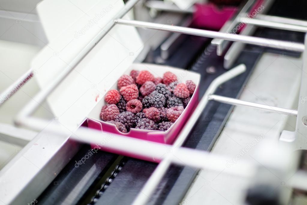 frozen raspberry processing business