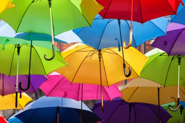 Renkli şemsiyeler