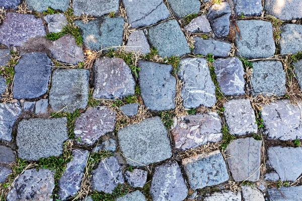 Detalhe do caminho de paralelepípedos — Fotografia de Stock