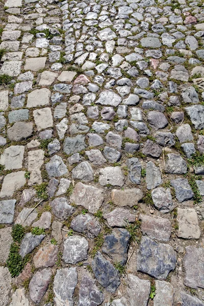 Деталь кам'яної доріжки — стокове фото