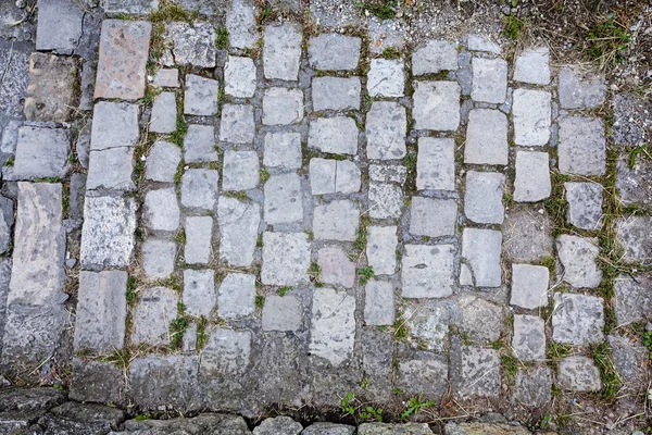 Detail of cobblestone path — Stock Photo, Image