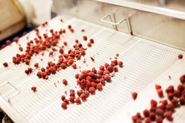 dondurulmuş ahududu iş işleme