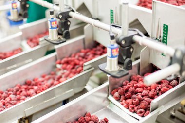 dondurulmuş ahududu iş işleme