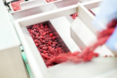 dondurulmuş ahududu iş işleme