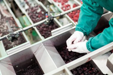 dondurulmuş ahududu iş işleme